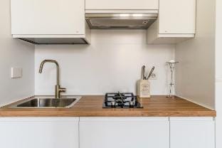 Piazza del Popolo Apartment in Rome