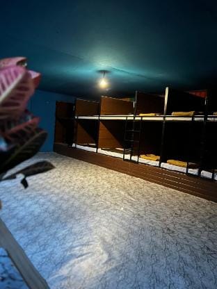 Skyfall 900kandi hostel Vacation rental in Kerala