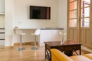 Thyssen Terrace Apartment in Malaga