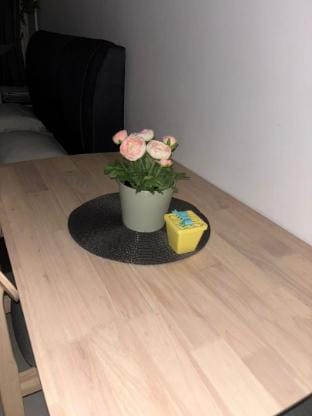 Bird Home Vacation rental in Federal Territory of Kuala Lumpur