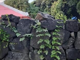 Jeju E-UM Stay Bed and Breakfast in South Korea