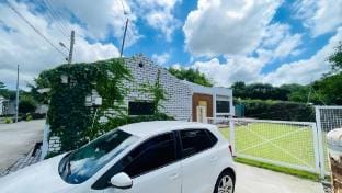 A Day in Jeju in Black and White Bed and Breakfast in South Korea