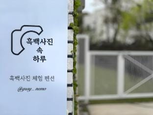 A Day in Jeju in Black and White Bed and Breakfast in South Korea