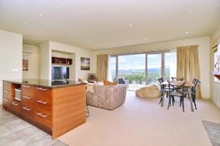 Terrace Downs Villa 238 – Alpine Retreat Villa in Canterbury