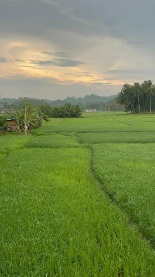 Lalie’s Inn  Vacation rental in Central Visayas