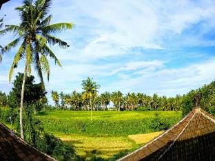 Lasan Mas Guesthouse Vacation rental in Sukawati