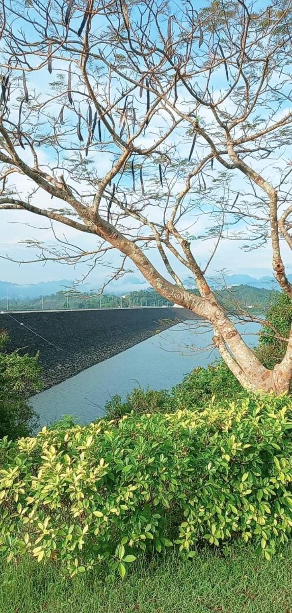 Pimrada Vacation rental in Surat Thani Changwat