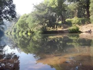 Bastar Tribal Homestay Vacation rental in India