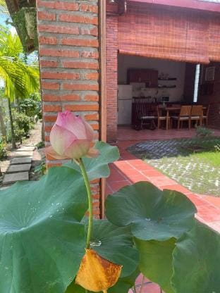 Full house in Pomelo Garden Vacation rental in Cambodia
