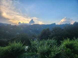 The Gypsy Soul Mukteshwar Vacation rental in Uttarakhand