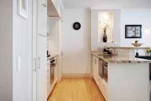Spacious & Luxurious 1BR Apt Vacation rental in Auckland