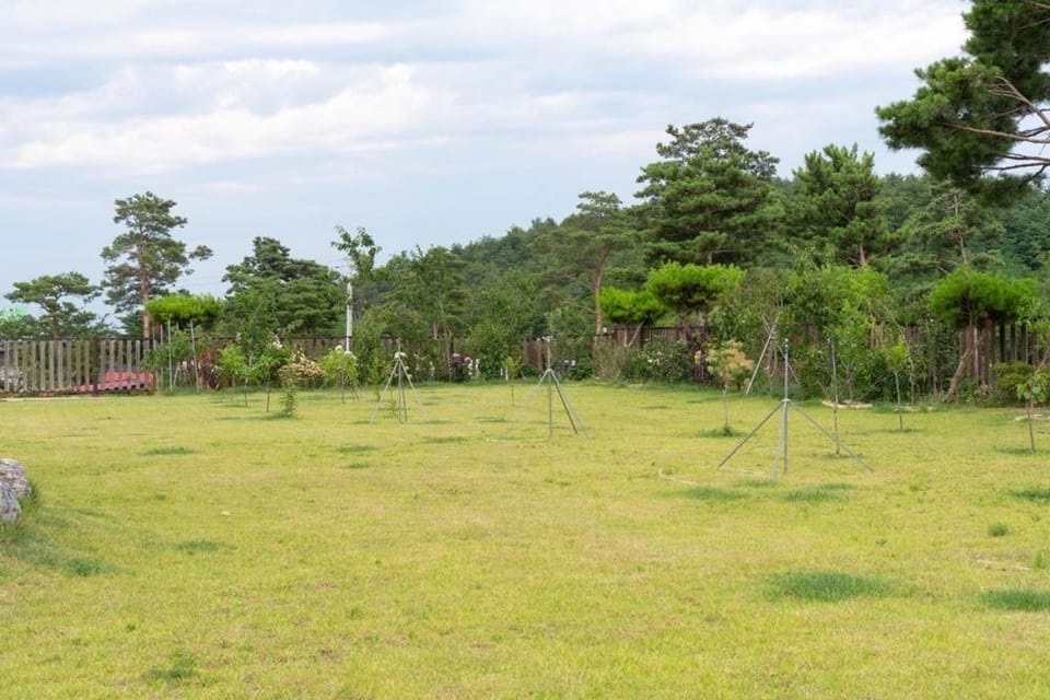 Gosung Sokcho Private Pension Bed and Breakfast in South Korea