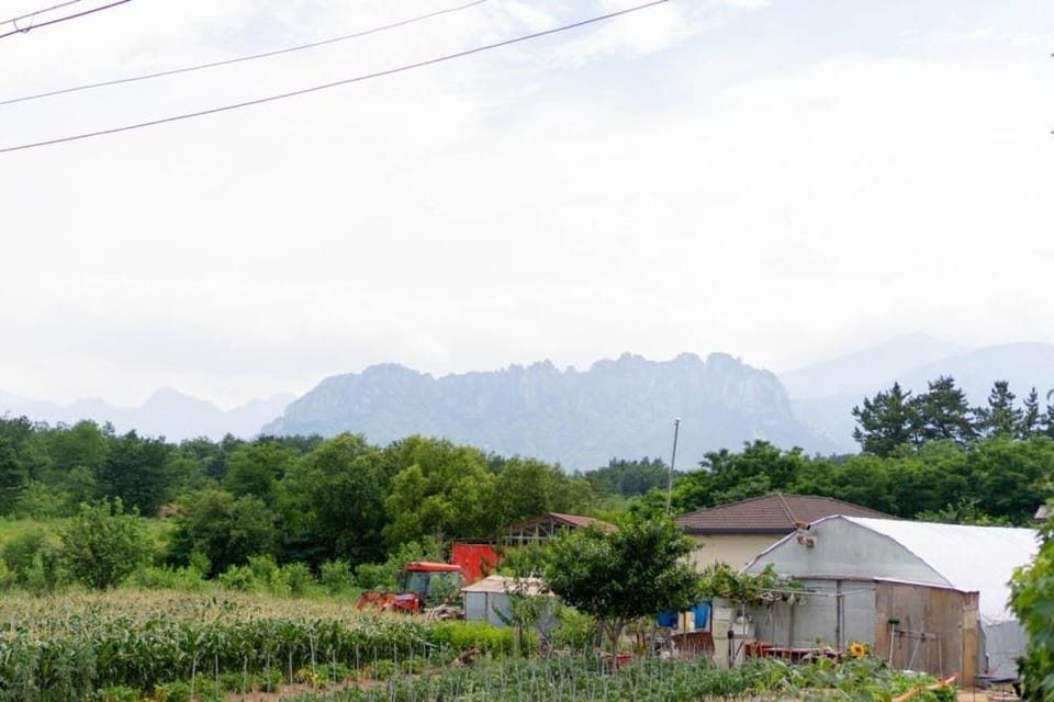 Gosung Sokcho Private Pension Bed and Breakfast in South Korea