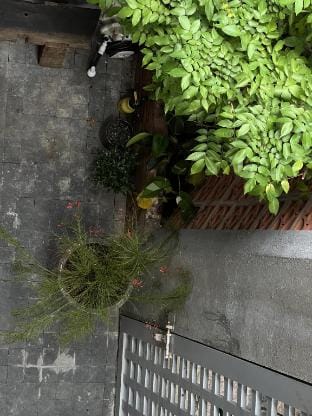 PREEZE boutique stay Vacation rental in Vung Tau