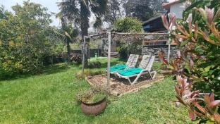 Casa da Achada de Cima Vacation rental in Madeira District