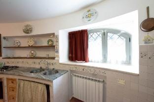 Luna: Rustic  apartment Chianti and San Gimignano Vacation rental in Tuscany
