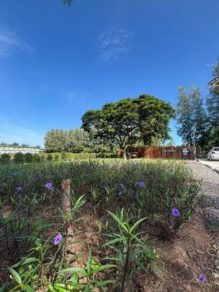 De‘ Hut  Boutique Homestay hut3 Vacation rental in Laos
