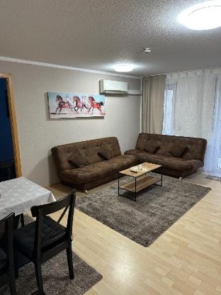 Zentral Stilvolle zwei Zimmer Wohnung Apartment in Heidelberg