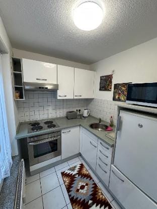 Zentral Stilvolle zwei Zimmer Wohnung Apartment in Heidelberg