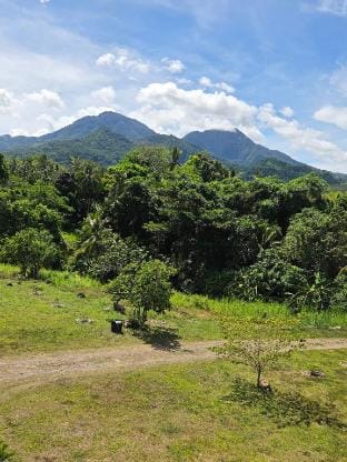 NoMa Mountain Getaway - Room Occupy Vacation rental in Central Visayas