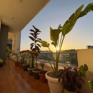 Hazel Apartment in Punjab, India