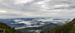 Skylark Homestay Panchalimedu Vacation rental in Kerala