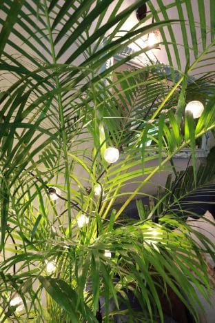 Anjuna Abode -beautiful 1 bhk apartment in Anjuna. Vacation rental in Baga