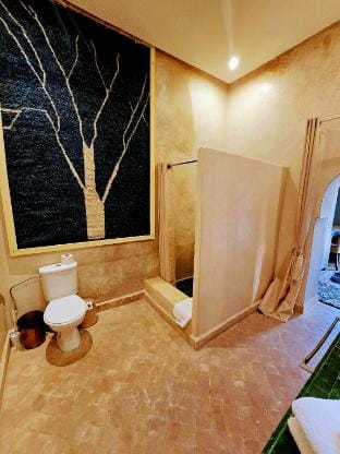 Riad Kasbah privilege and SPA Riad in Marrakesh