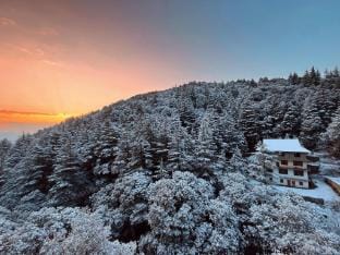 Pahadi Zayka Homestay Vacation rental in Himachal Pradesh