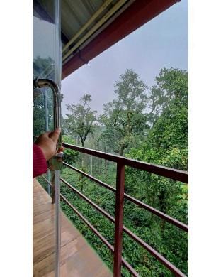 Tranquil Glass House By Coorg Tree House  Vacation rental in Kerala