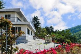 Helios Private Pool Villa Bed and Breakfast in Gyeonggi-do