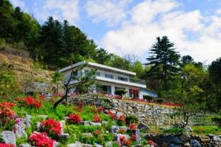 Helios Private Pool Villa Bed and Breakfast in Gyeonggi-do