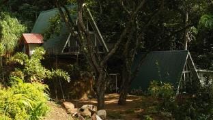 Tree Nature Resort (Sisila Ima) Vacation rental in Uva Province, Sri Lanka