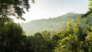 Tree Nature Resort Luxury Villa Vacation rental in Uva Province, Sri Lanka