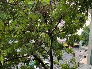 BigHouse-5BedRoom-Max12People-1km Bui Vien-Central Vacation rental in Ho Chi Minh City