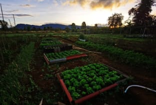 Shared happy farm  Farm Stay in Laos