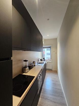 The Cozy Studio – Gent Center Vacation rental in Ghent