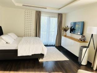 Luxury Prague House with Car Vacation rental in Prague