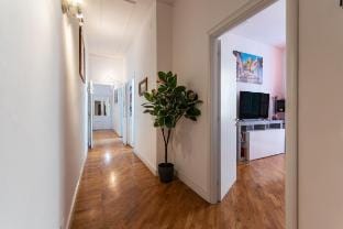 Green window, an oasis of greenery and relaxation. Vacation rental in Rome