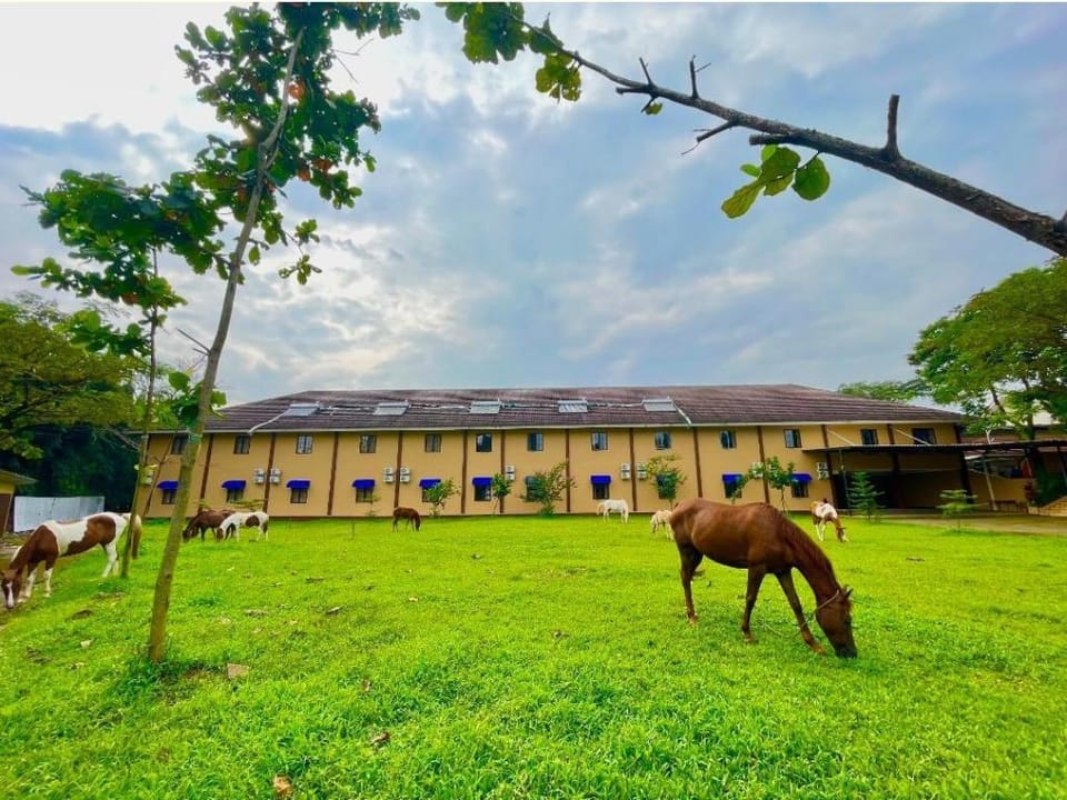 The Forest Villa Hotel in West Java