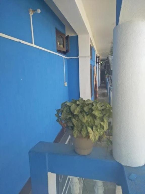 Dirang Buddha Hotel Dirang Arunachal Pradesh Hotel in India