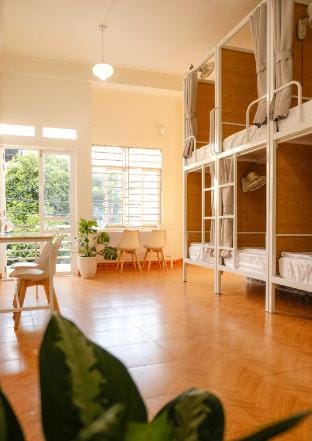 Lazy Cat - Homestay, Motorbikes Rental & Tour Apartment in Vietnam