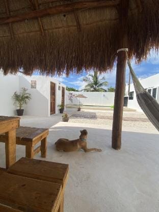 Casa Loto A Apartment in State of Yucatan