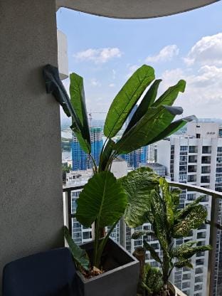 Beach, shopping, relax in Danga Bay, Johor Bahru Apartment in Johor Bahru