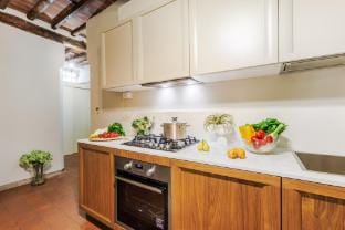 The Hidden Alley Apartment Apartment in Capannori