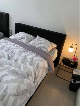 Big beautiful appartement in center of Antwerpen Apartment in Antwerp