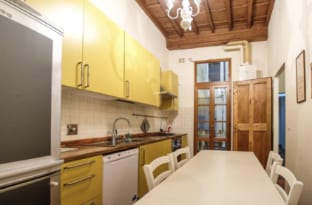 Roomy and elegant apartment by Piazza Pitti Apartment in Florence