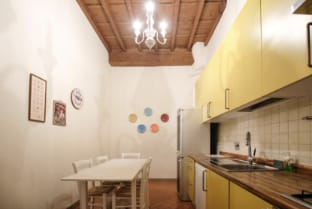 Roomy and elegant apartment by Piazza Pitti Apartment in Florence