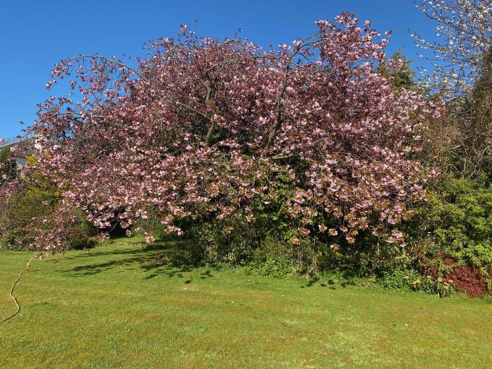 Carmichael B&B Hotel in Edinburgh