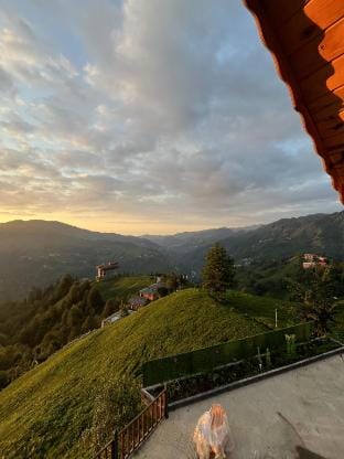 PİSA VİLLA&BUNGALOV Vacation rental in Georgia